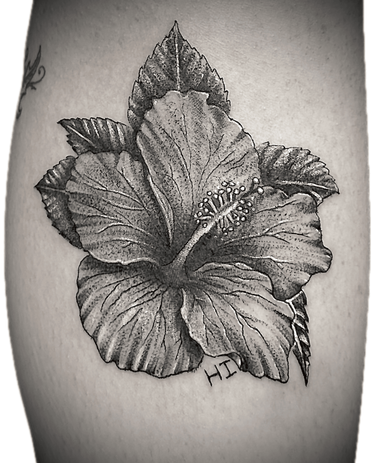 Hawaiian hibiscus HI — Black & Grey stipple realism tattoo by Spade, Waikīkī