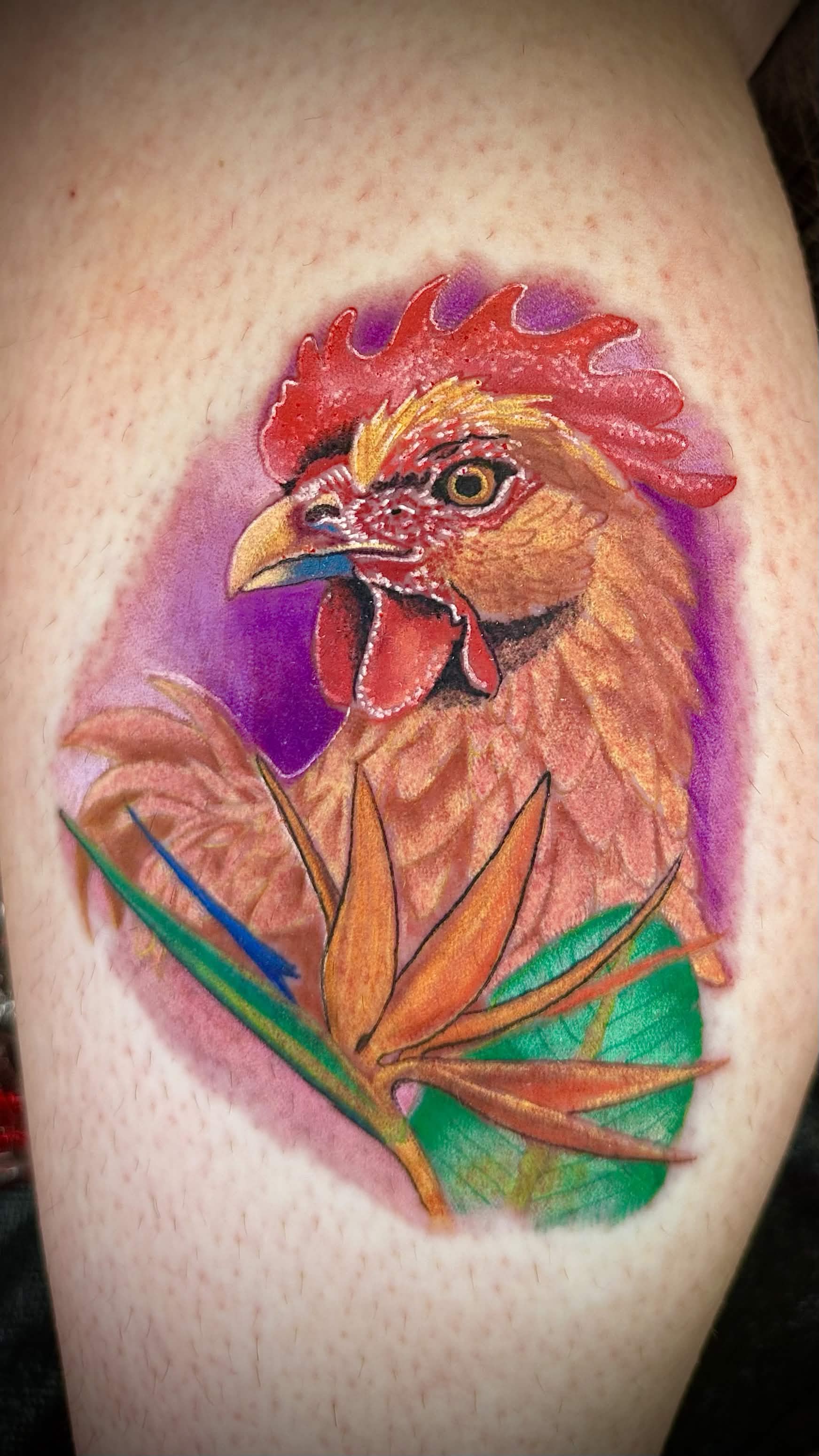 Rooster with bird of paradise flower — Full Color Realism tattoo, Hawaii