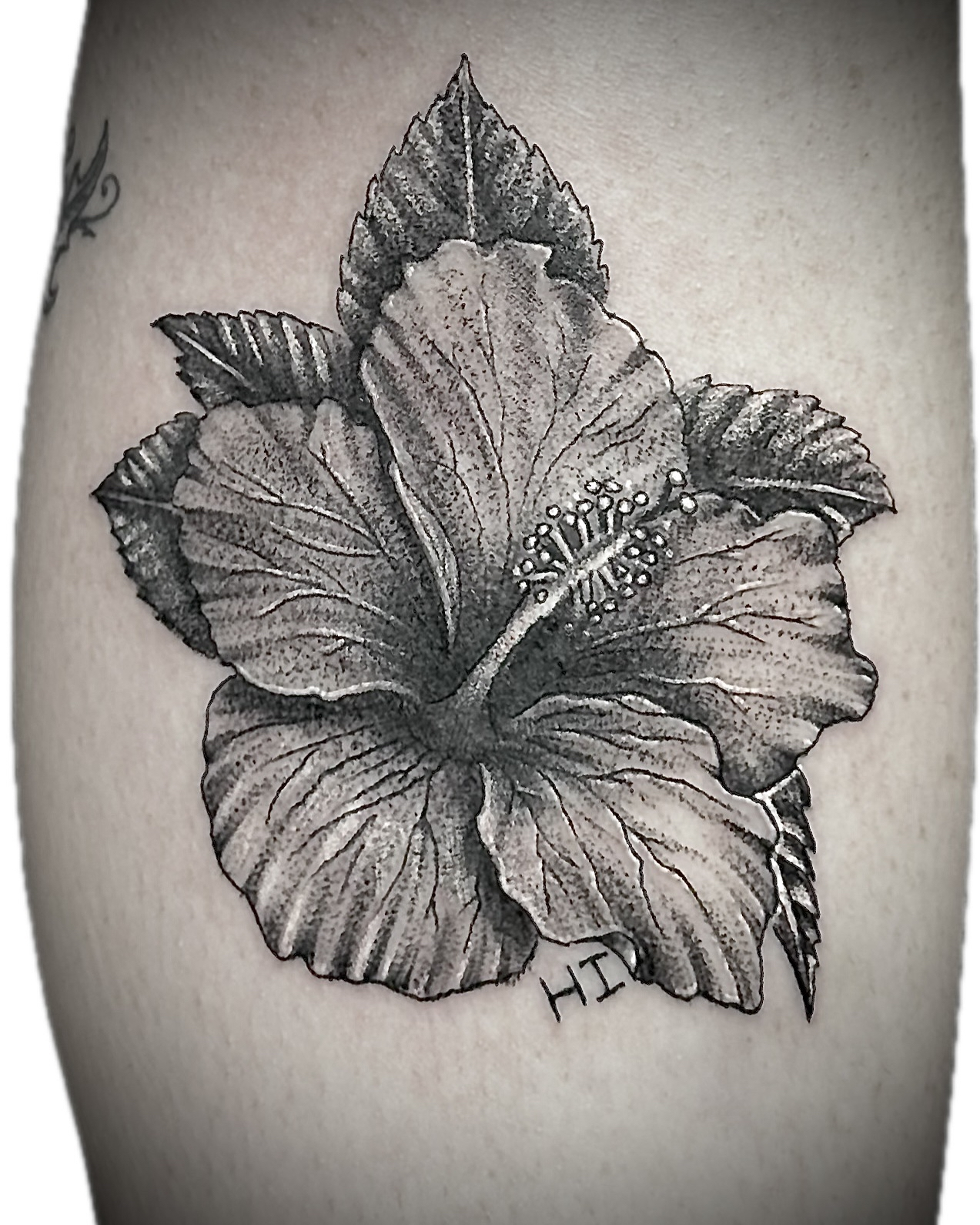 Hibiscus black and grey stipple tattoo by Spade, Hawaii