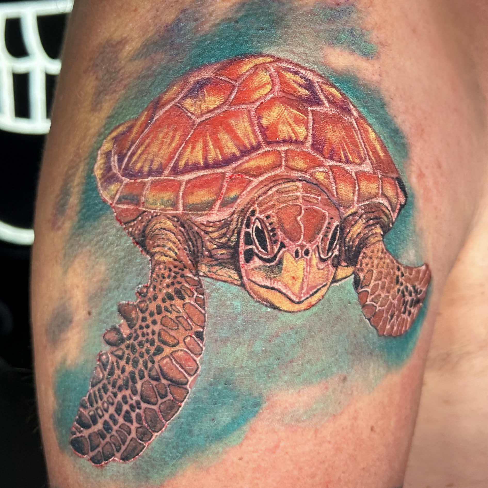 Sea turtle full color realism — fully healed vibrant tattoo by Spade