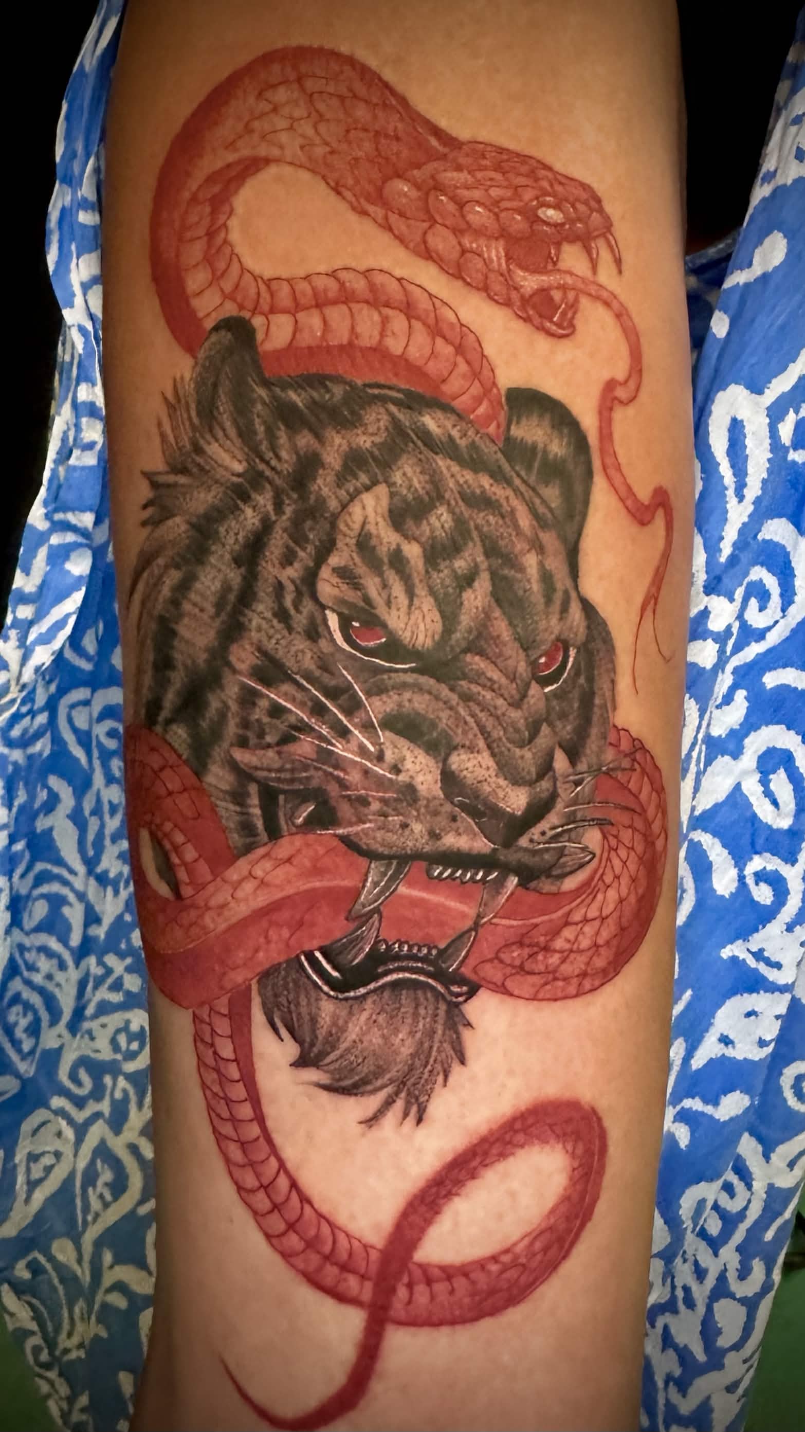 Tiger snake tattoo by Spade — detail work during session
